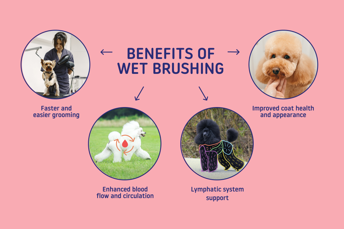 benefits of wet brushing dogs