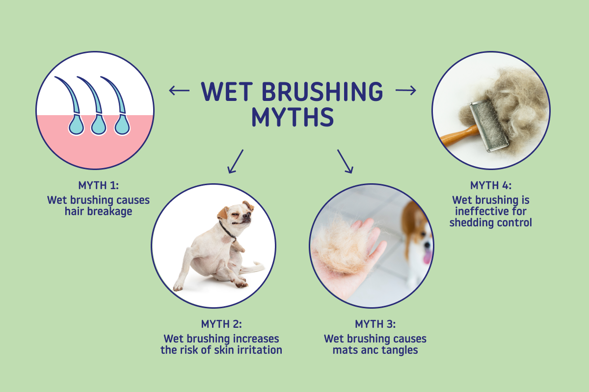wet brushing myths