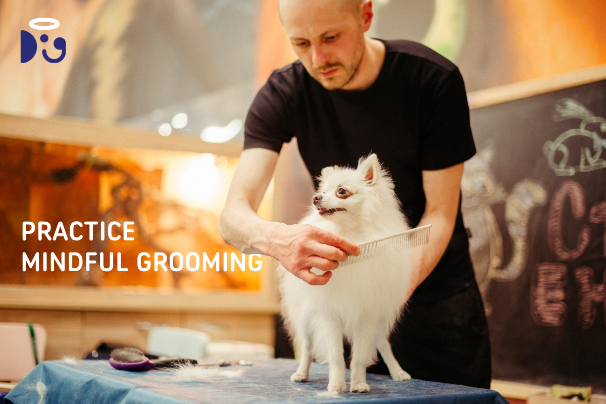 groomer self-care tips