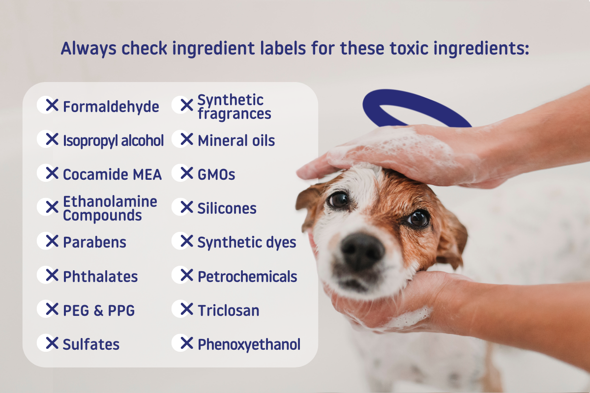 toxic ingredients in dog shampoo