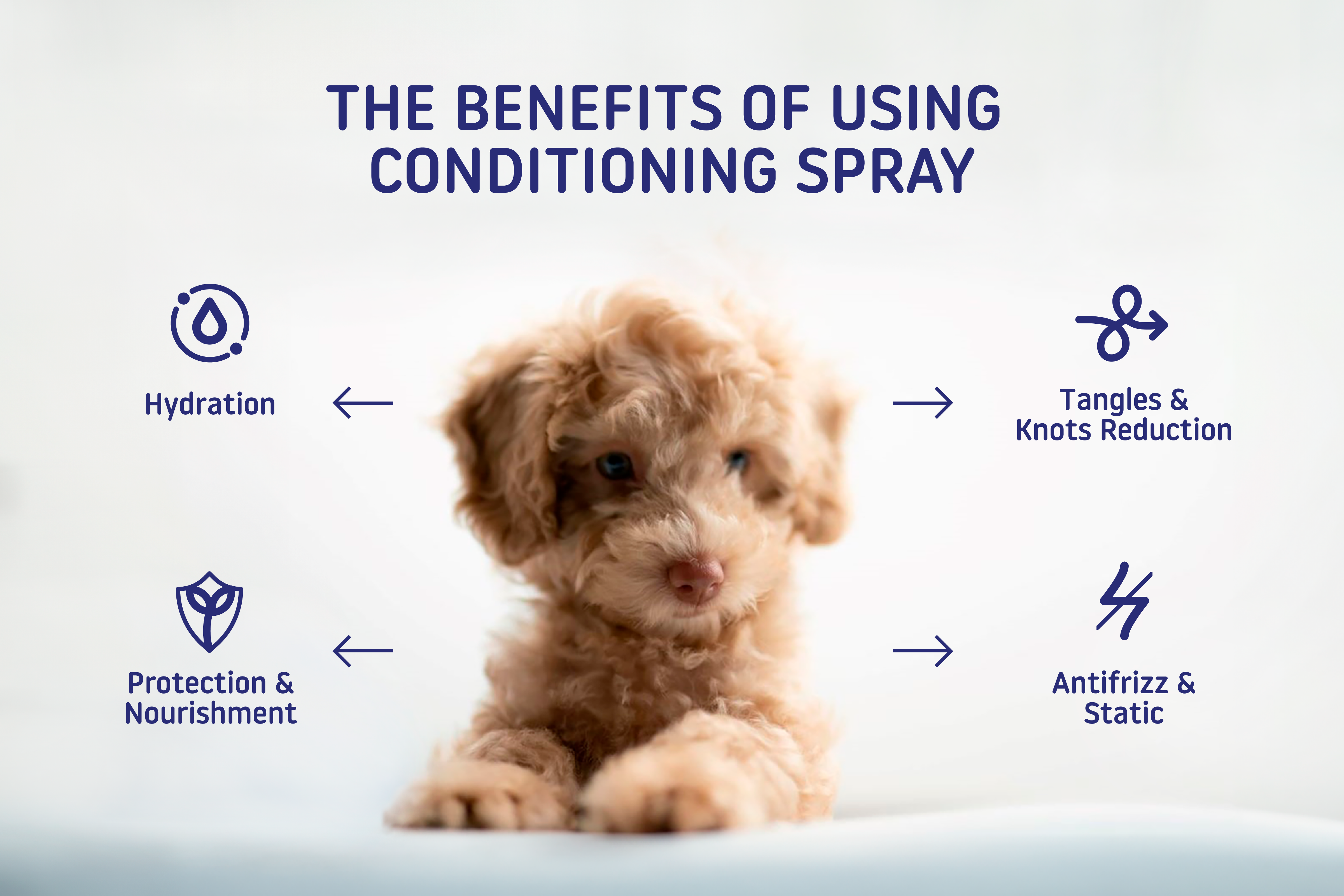 The benefits of dog conditioning spray