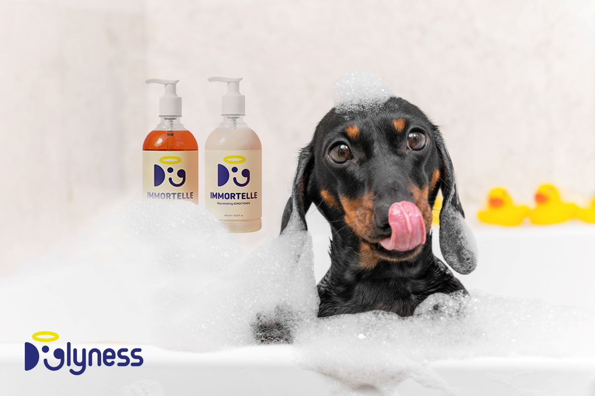 health benefits of dog grooming