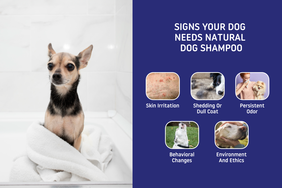 Natural dog shampoo