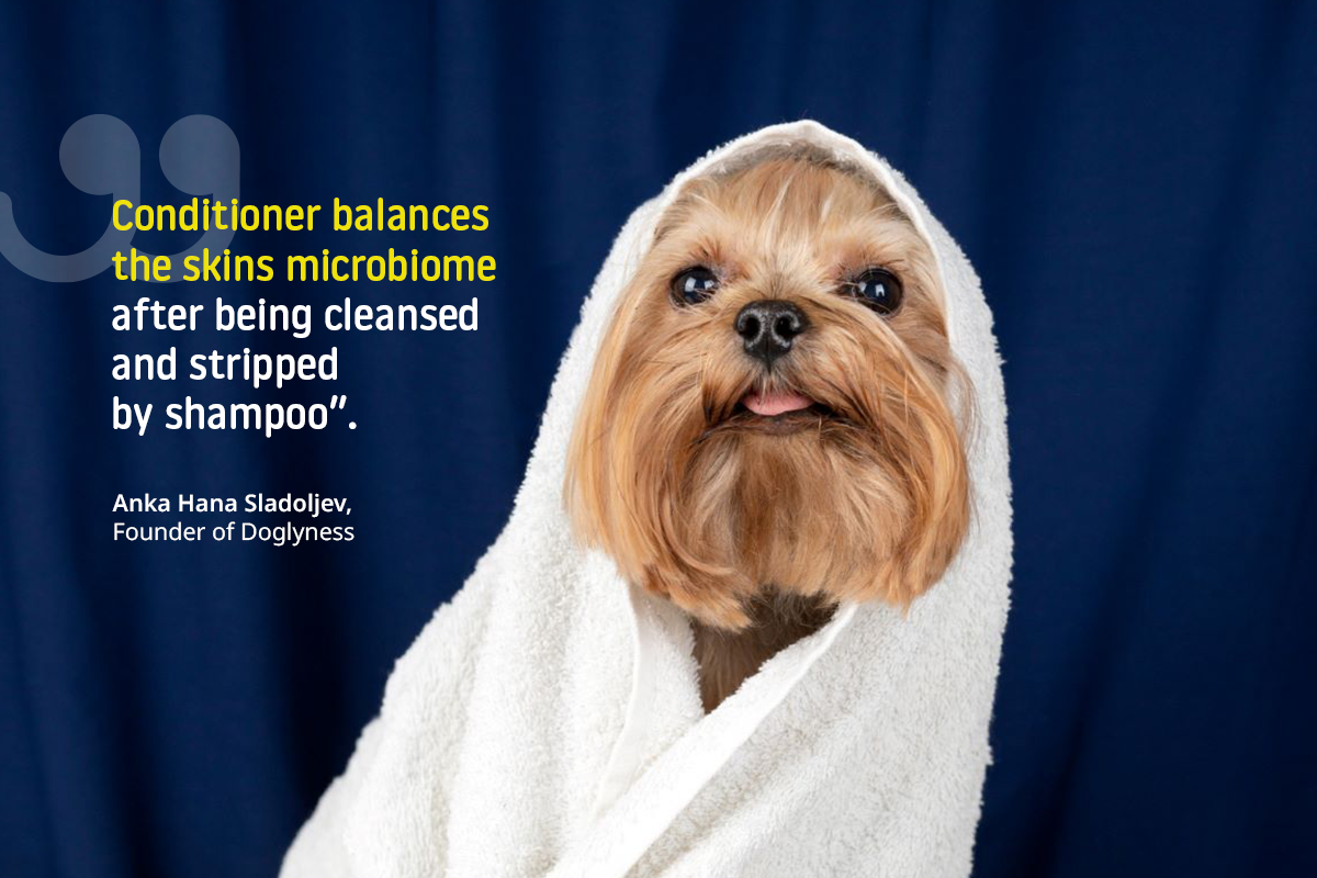 Organic dog conditioner