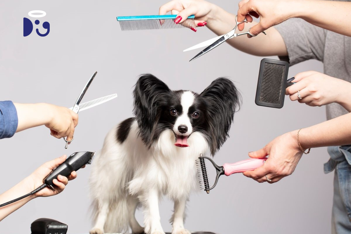 What is ﻿﻿Dog Grooming?