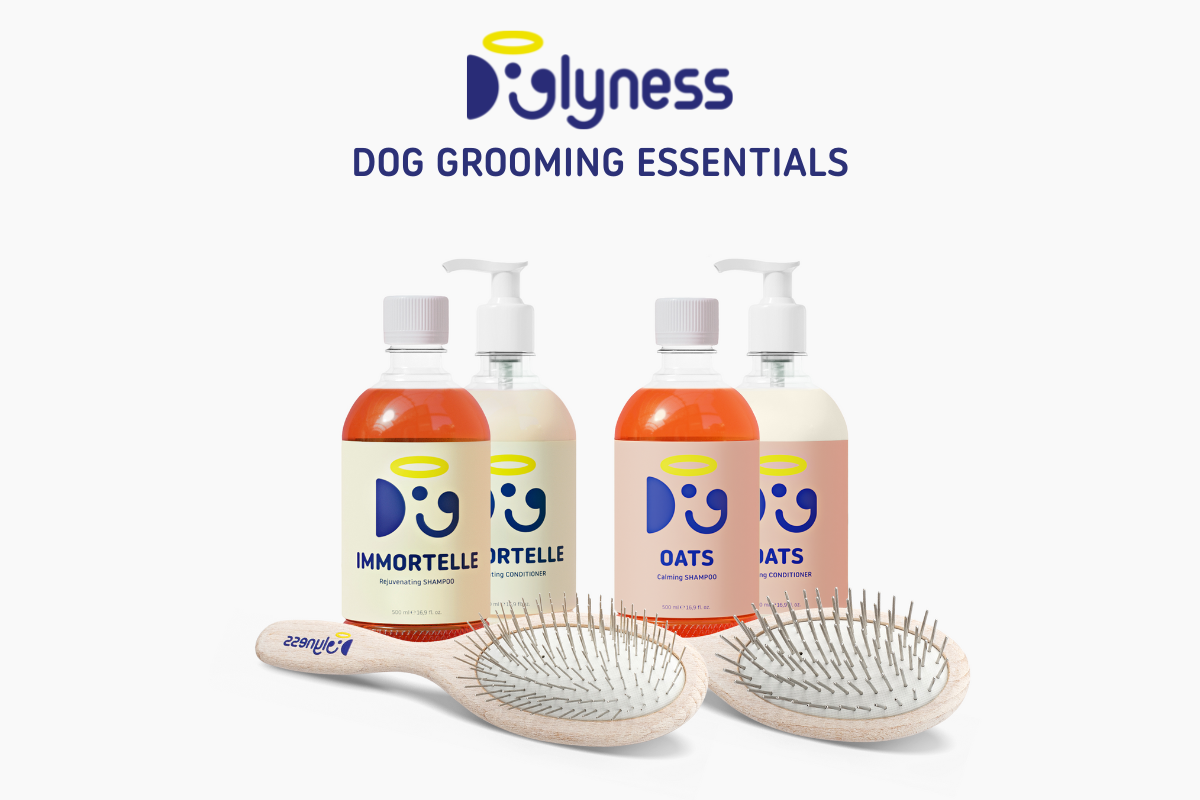 dog grooming tools 