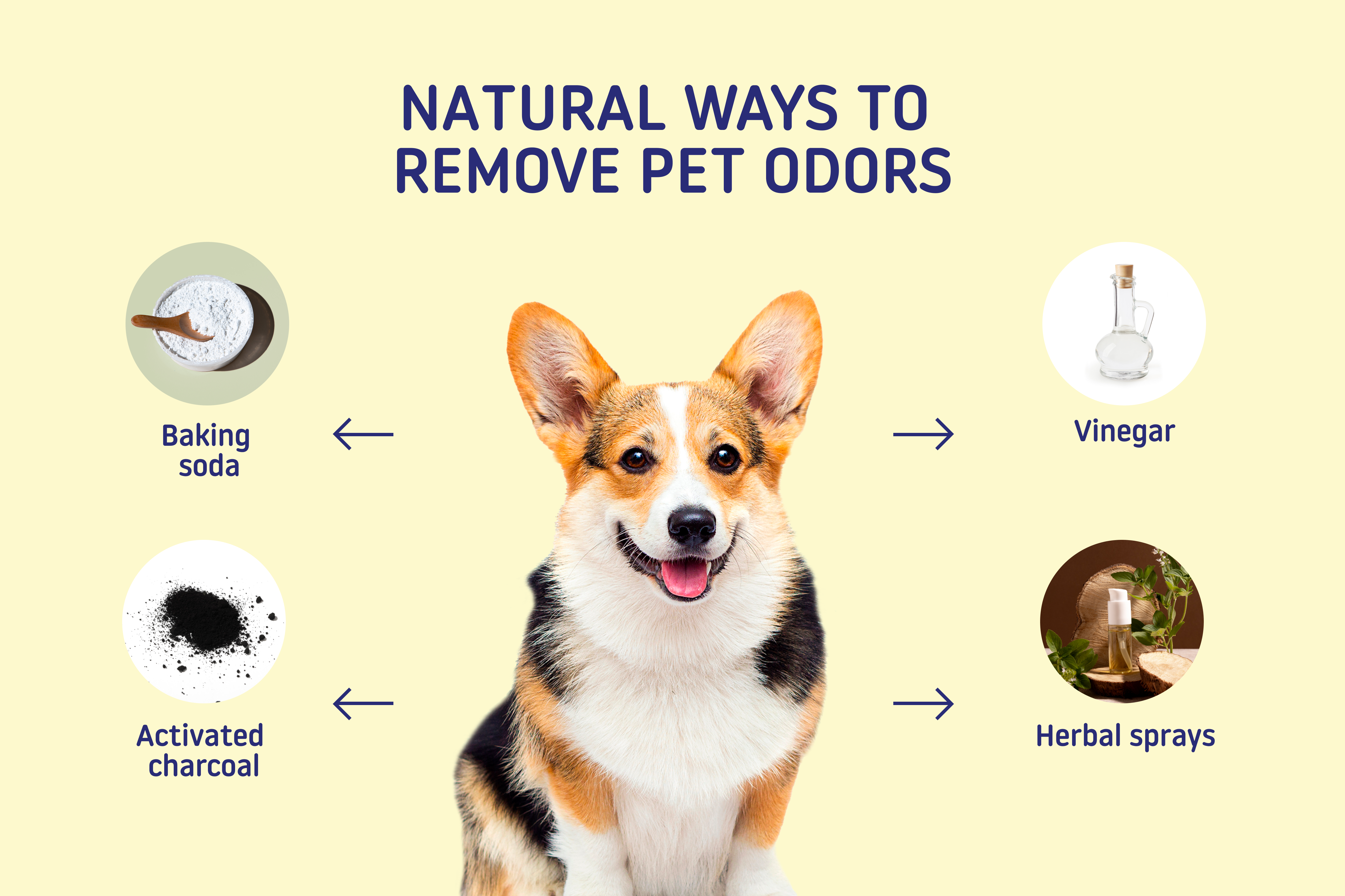 natural ways to remove pet odors