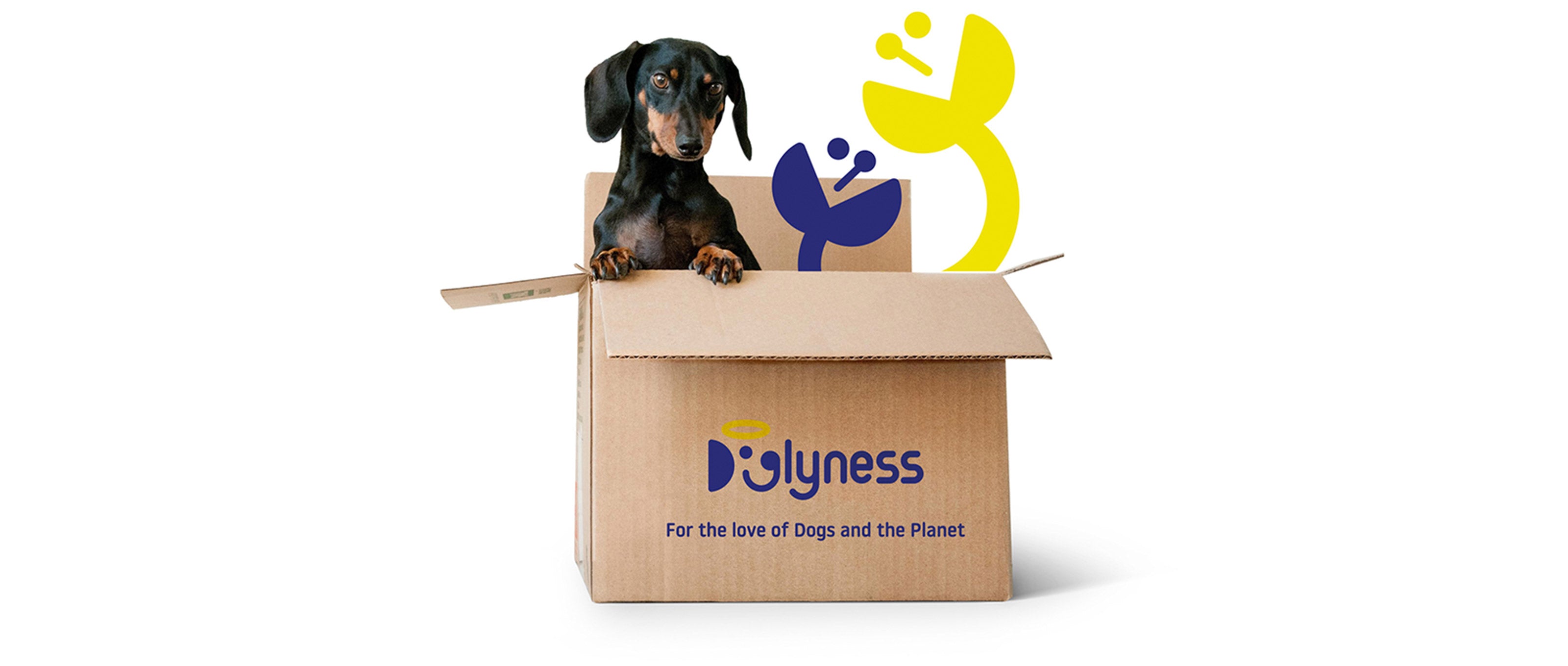 Doglyness, for the love of dogs and the planet!