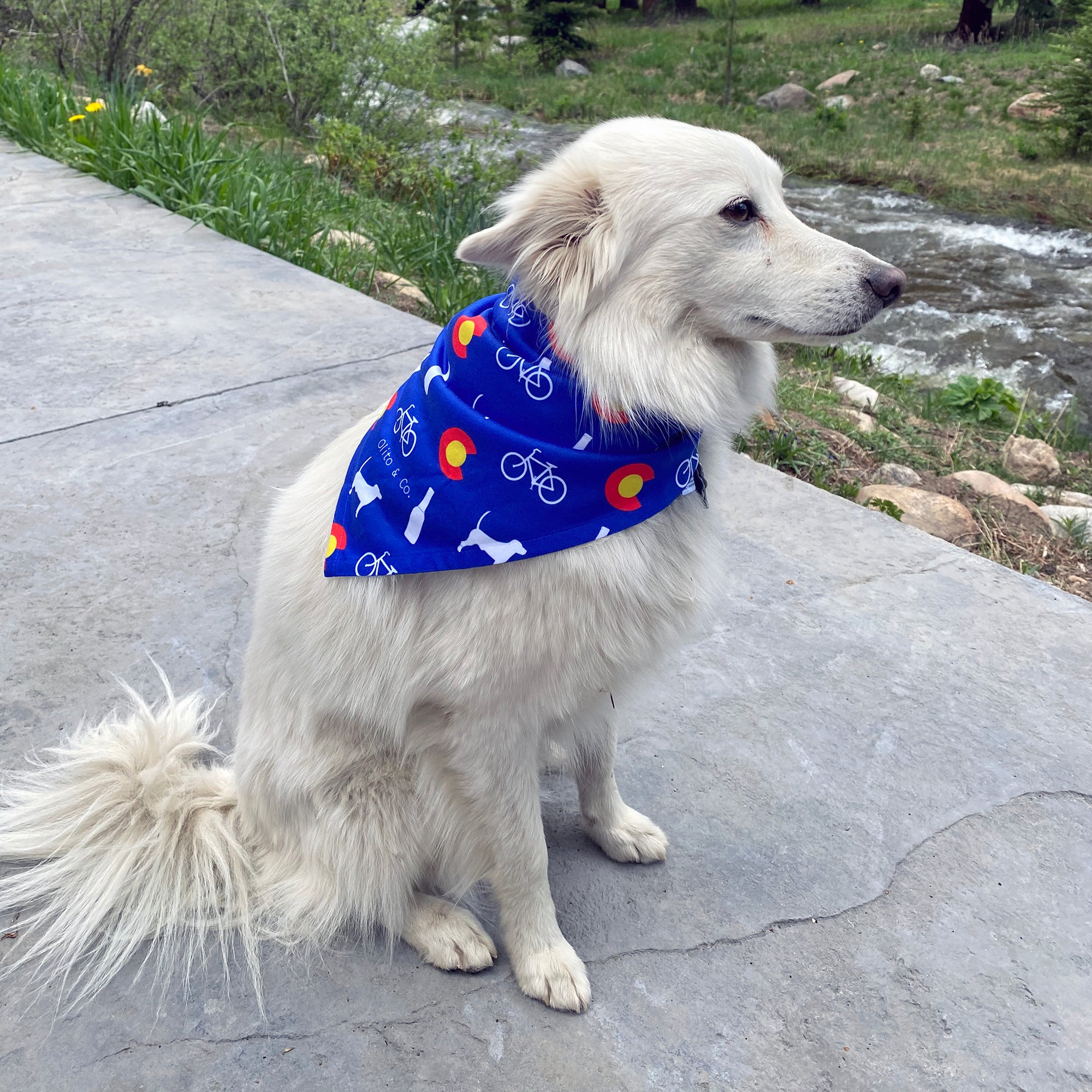 colorado dog bandana