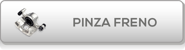 “pinza