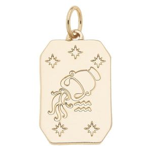 Zodiac Charms - Lulubelles Boutique