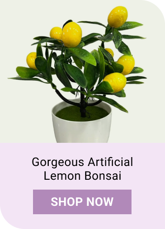 Gorgeous Artificial Lemon Bonsai