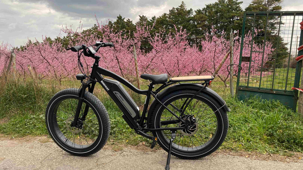 E-Bikes für Fahrradtouren im Frühling | Himiway