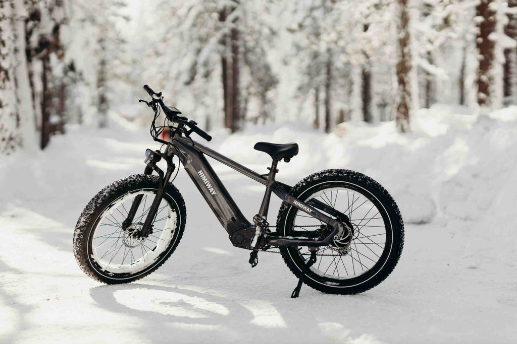 Winterliche Herausforderungen auf dem E-Bike meistern | Himiway