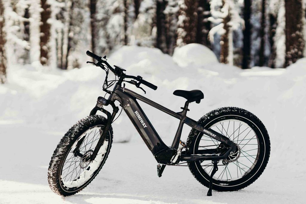 Winterbiken im Schnee: Mit den besten E-Fatbike! | Himiway