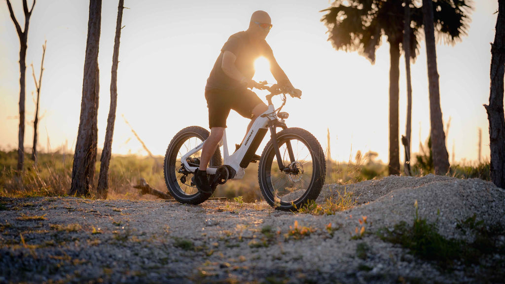 Wie hält ein Montageständer das E-Bike fest?