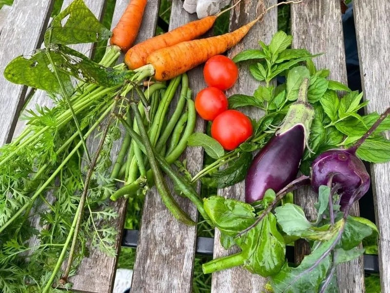 Gemüse aus dem eigenen Garten