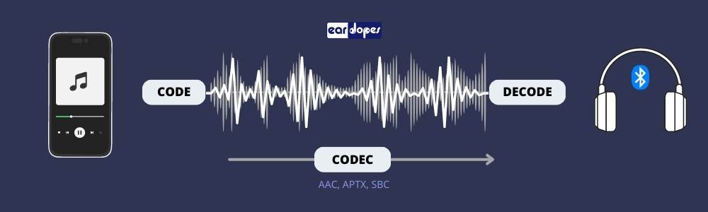 Codec infographic