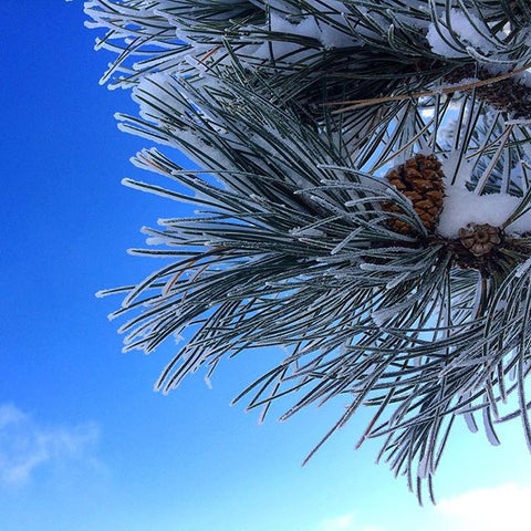 Horsetooth'd Photo- November 2015