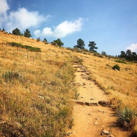 Horsetooth'd Photo-July 2016