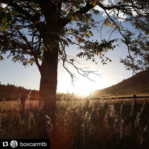 Horsetooth'd Photo-July 2016