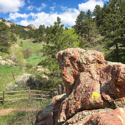 Horsetooth'd Photo- May 2016