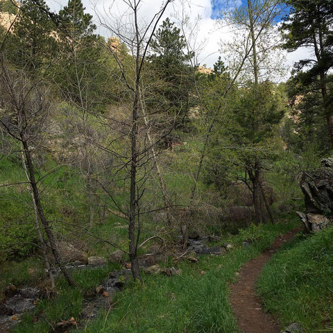 Horsetooth'd Photo- May 2016