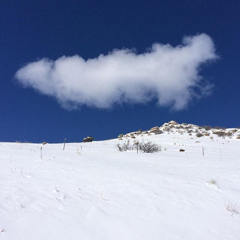Horsetooth'd Photo- February 2016
