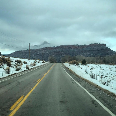 Horsetooth'd Photo- December 2019