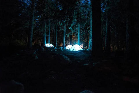 A group of tents lit up in the dark woods.