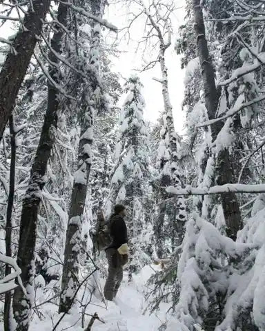 A person in the woods surrounded by snow.