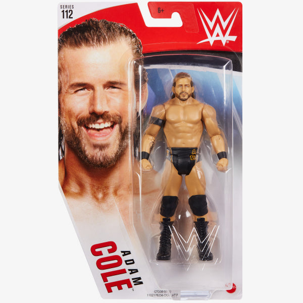 WWE Wrestling Action Figure Collectibles