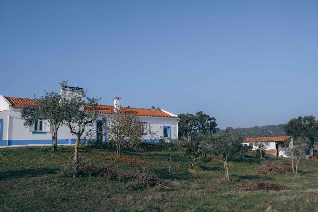 Comporta Portugal country side and traditional beach holiday homes