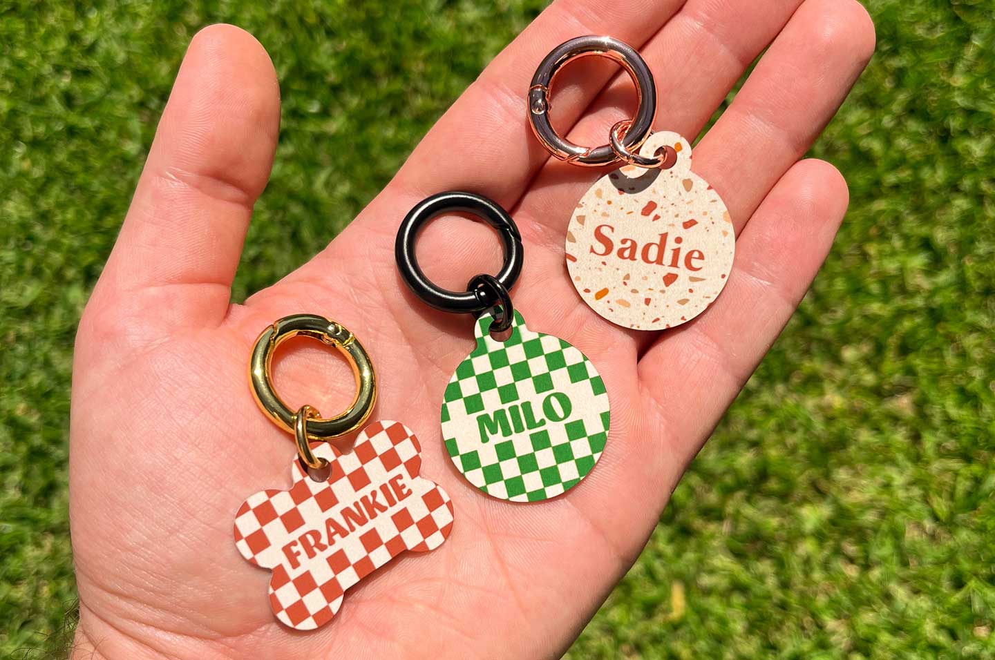 pet-tags-photo-1