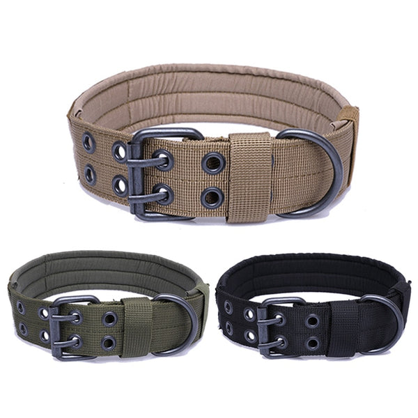 thick dog collars