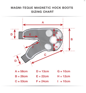 premier equine hock boots