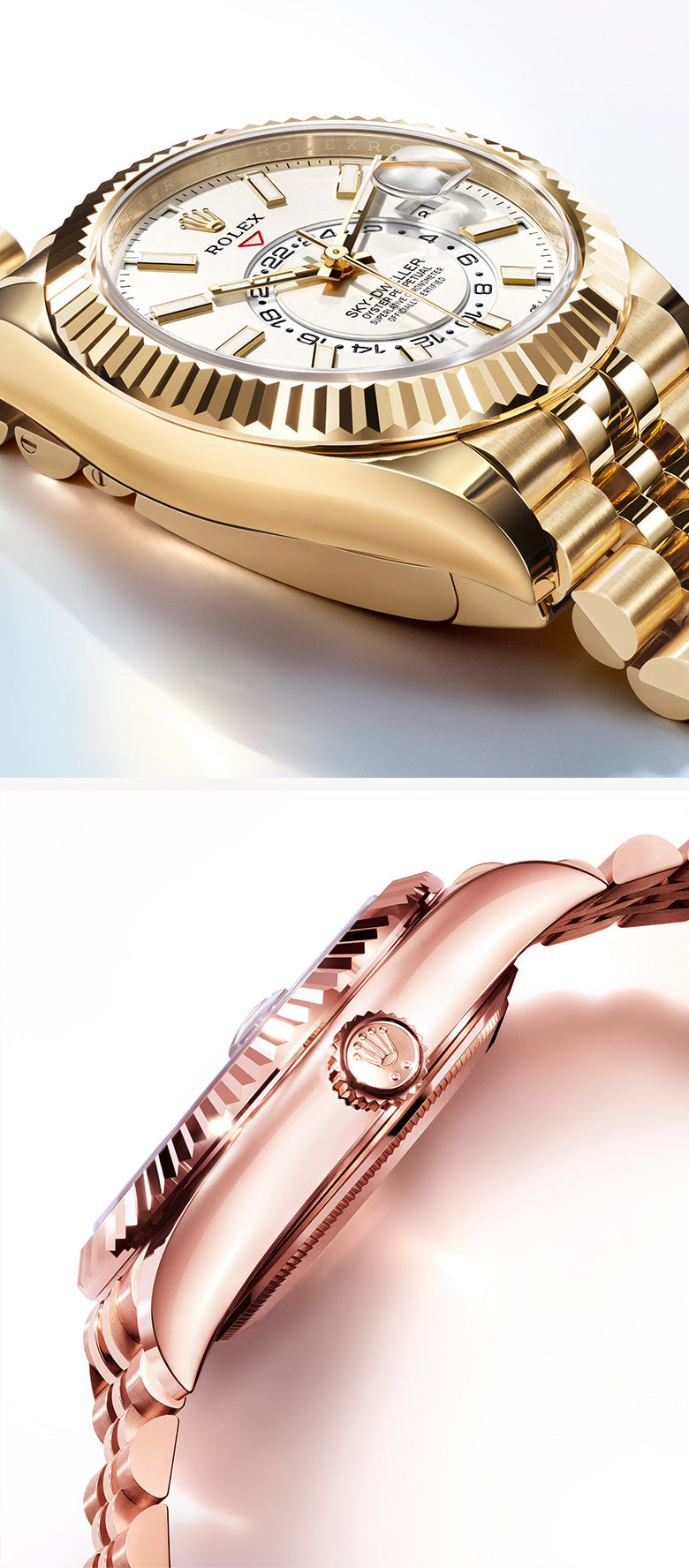 The Oyster case, symbol of waterproofness-portrait