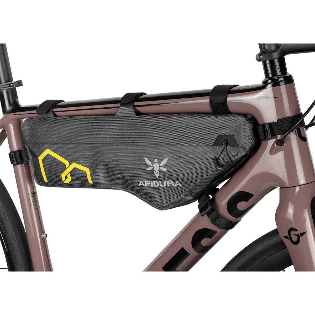 apidura expedition frame