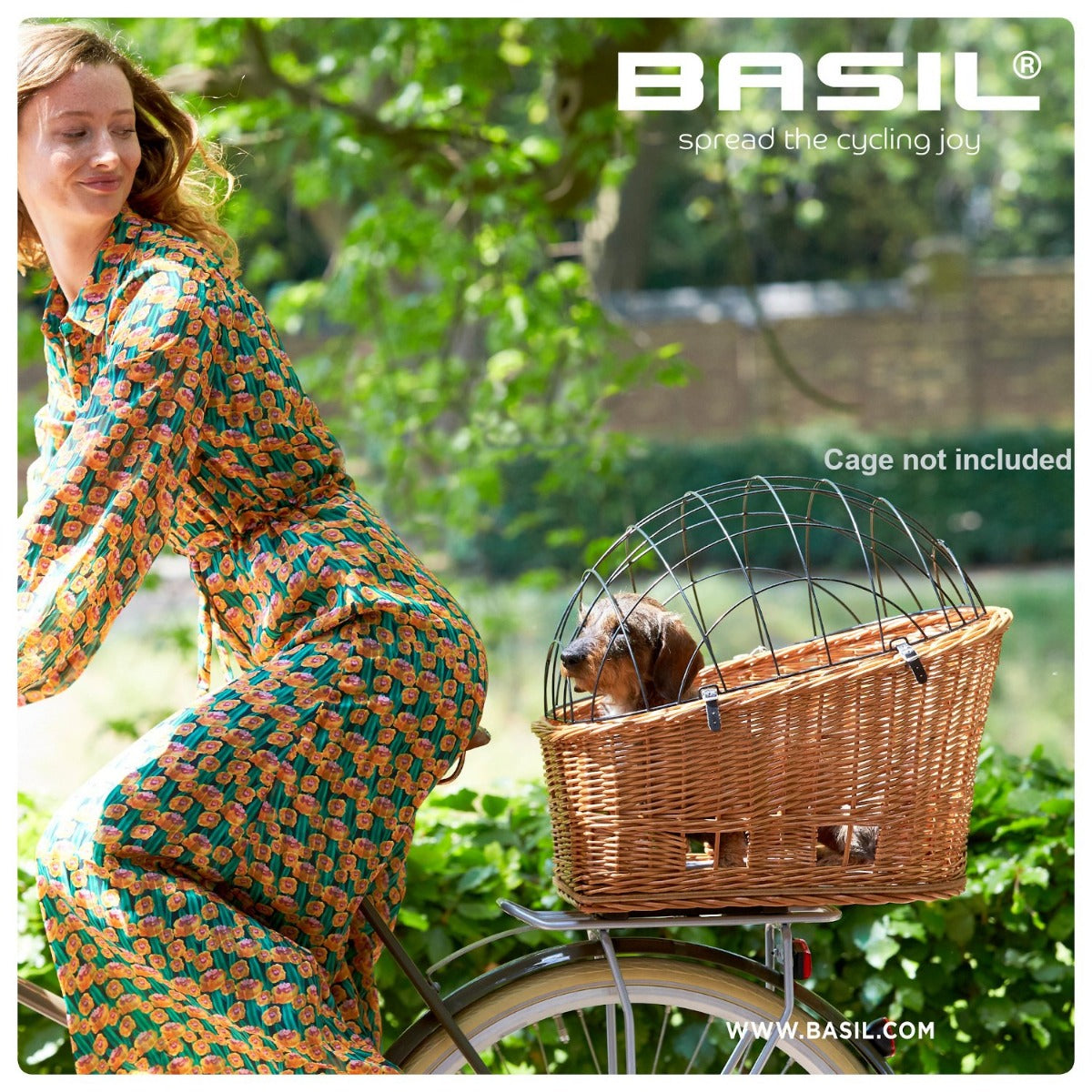 basil basket