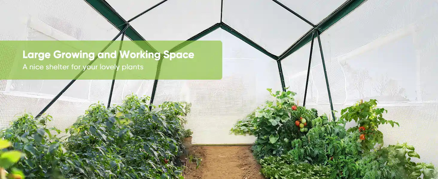 Large growing and working space