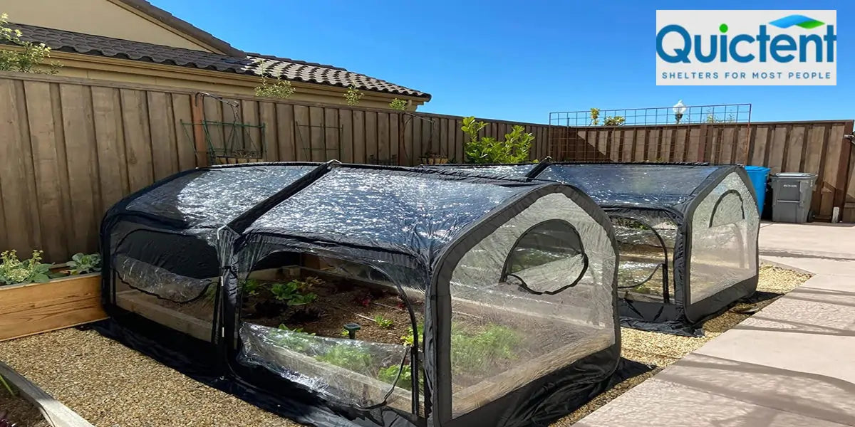 Black greenhouses and garden beds