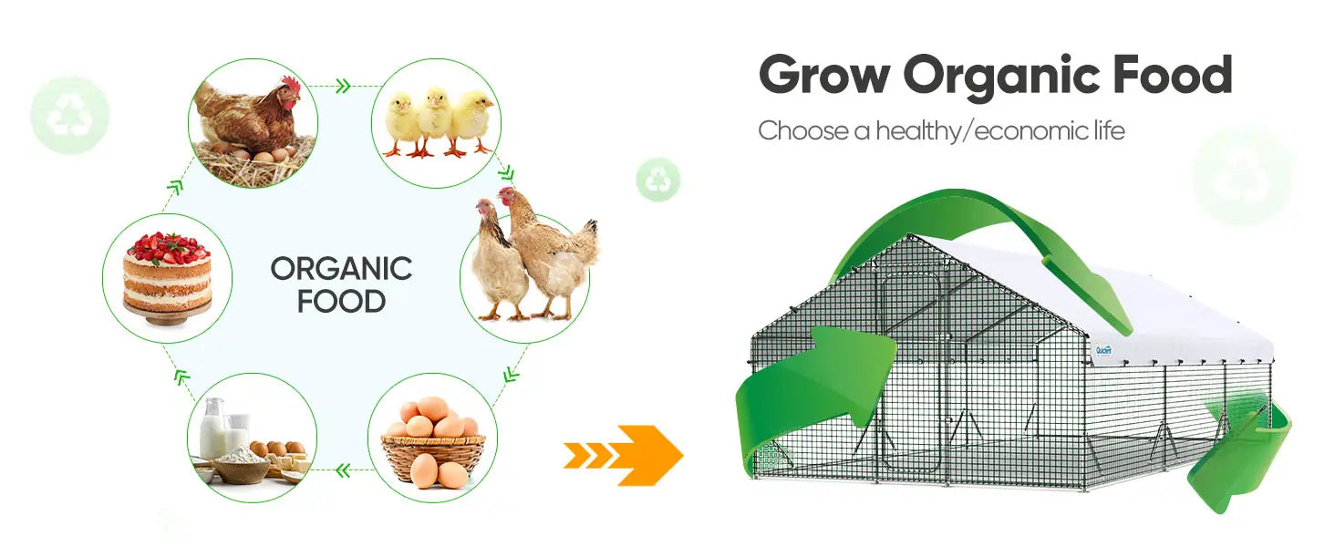 Grow Organic Food and Choose a healthy/economic life