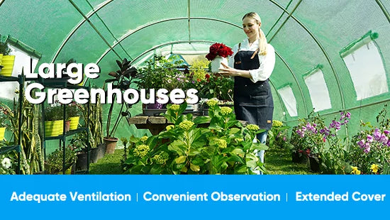large greenhouse for Quictent