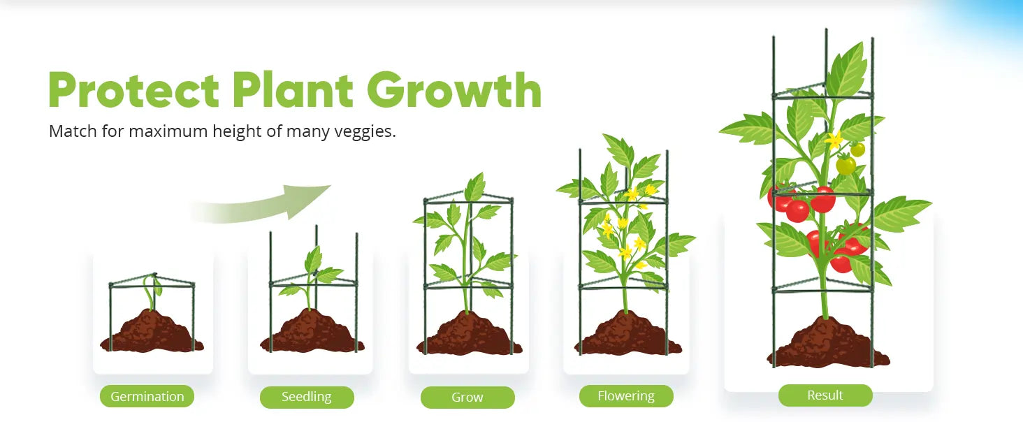 garden boxes Protect plant growth