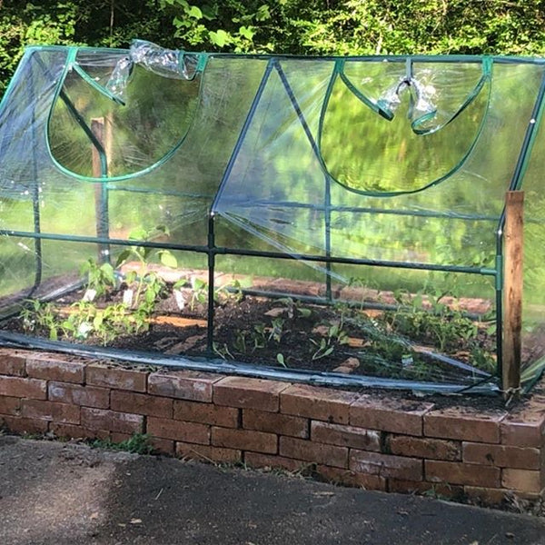 Quictent 71” x 36” x 36”mini-greenhouse – transparent