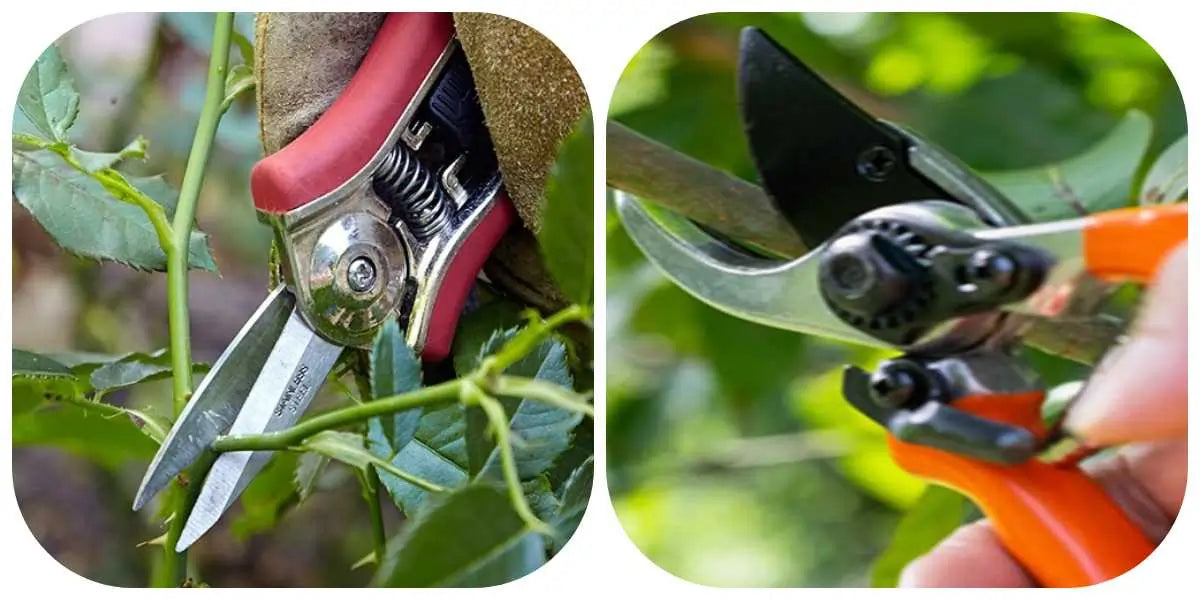 Straight and Bypass pruning shears