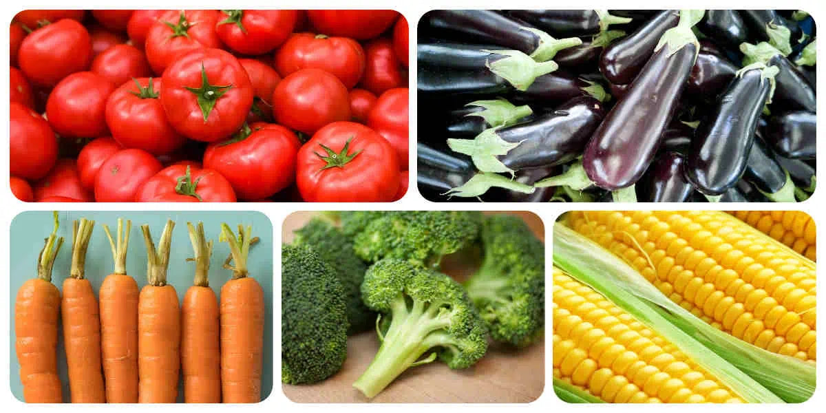 Vegetables that grow well in the warm season