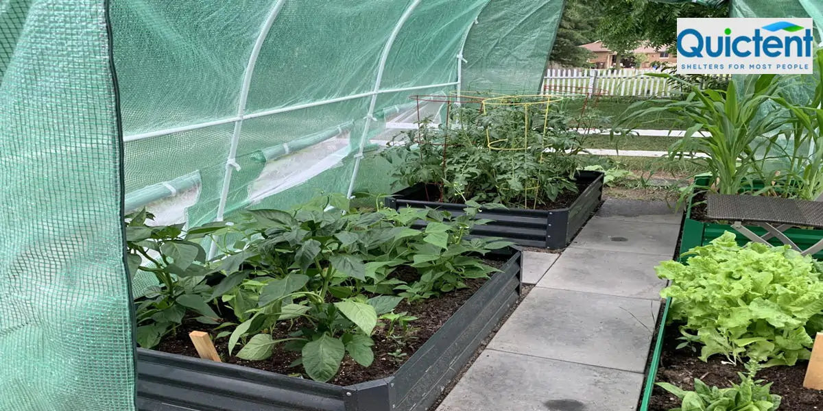 backyard greenhouse garden