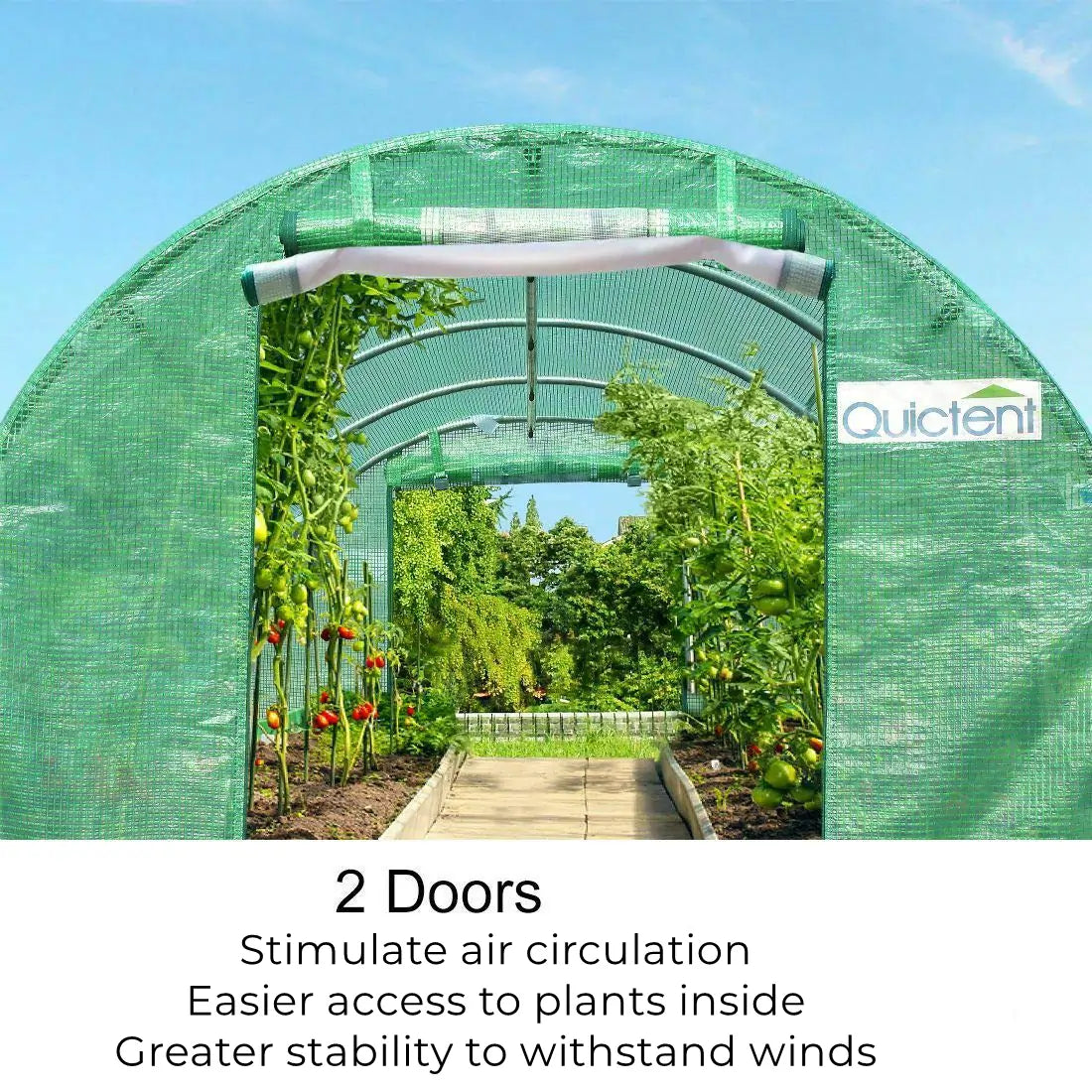 large 10 x 20 greenhouse