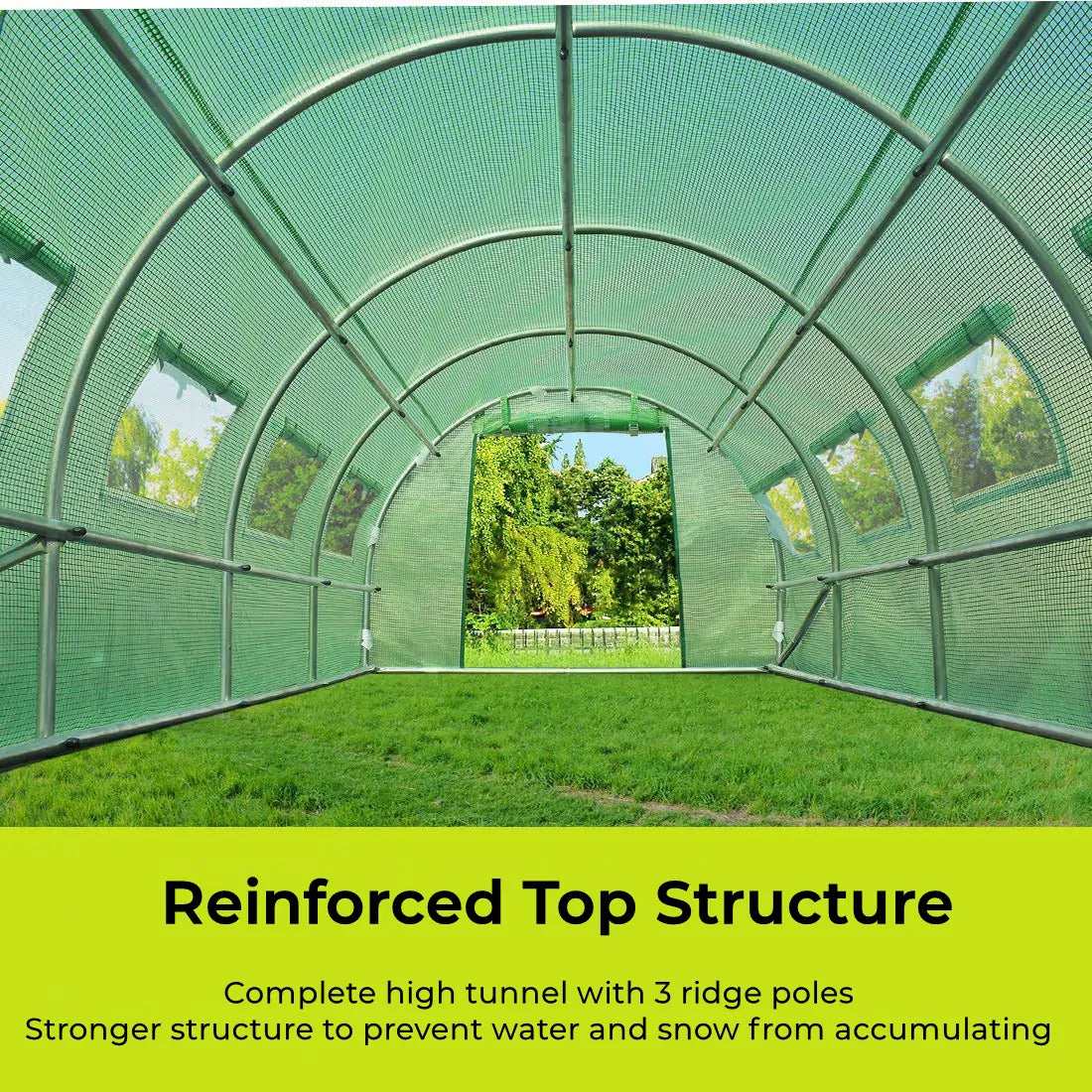 large greenhouse reinforced top structure